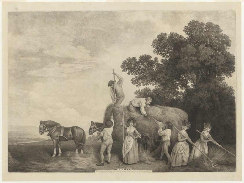 Hay-Makers