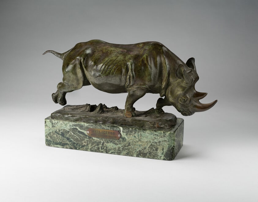 Charging Rhinoceros
