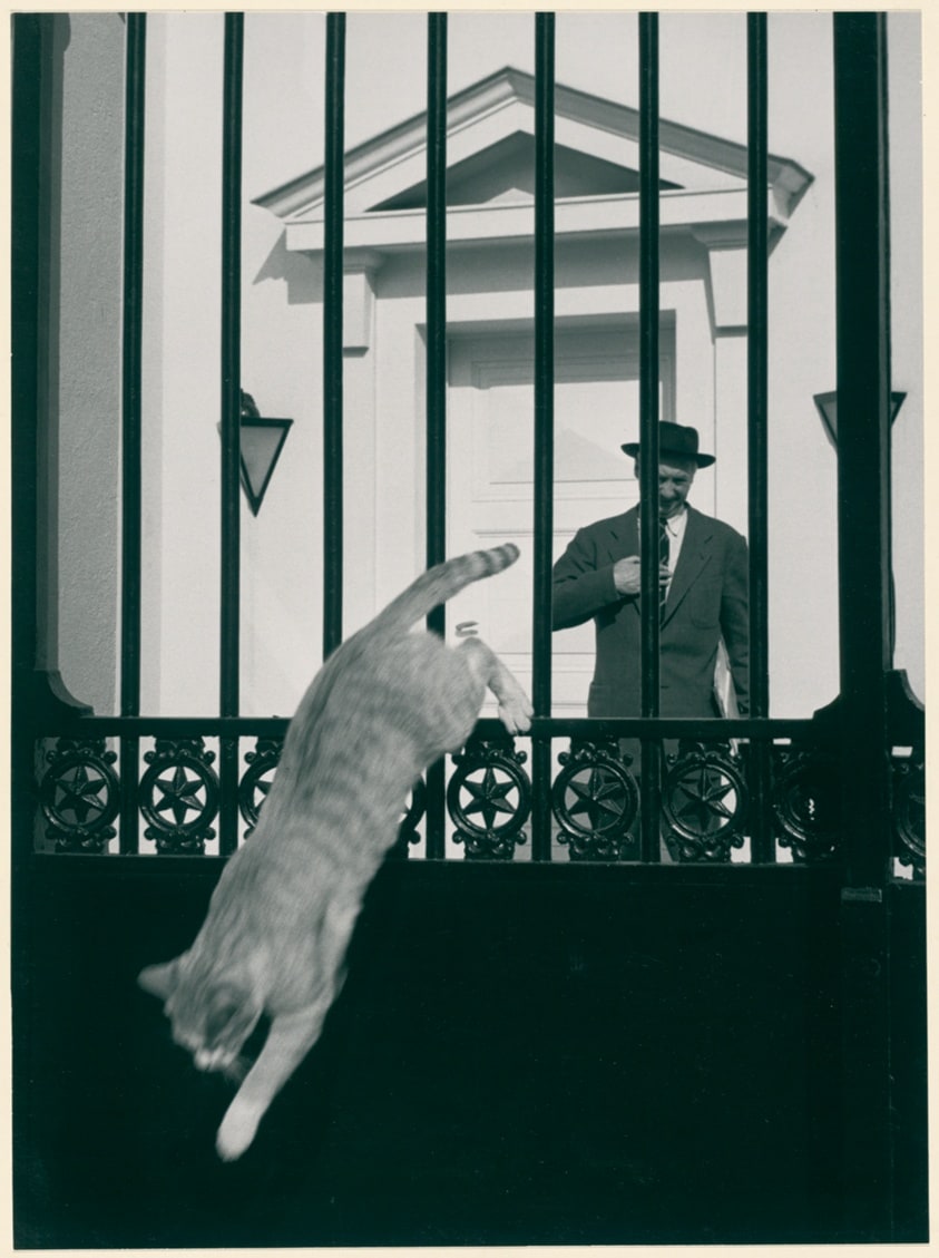 Felix Labisse, French Artist, and Cat