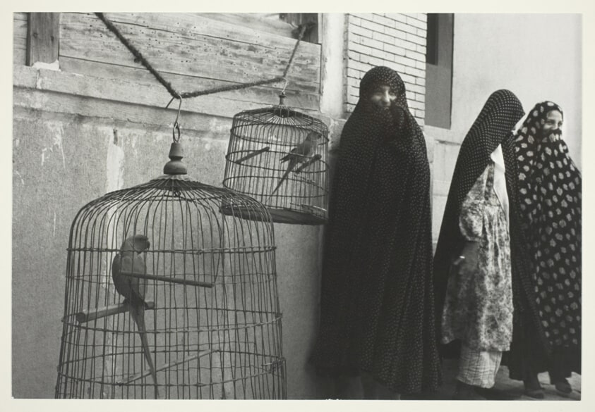 Iran: Shiraz - Three Women With Caged Birds