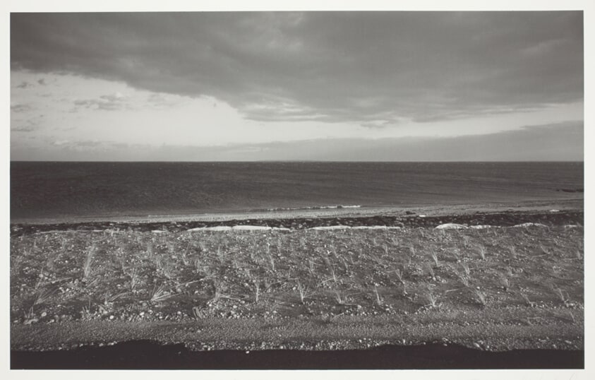 Untitled (Orient Point, Long Island)