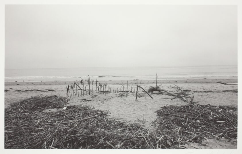 Untitled (California Coast, Santa Barbara)