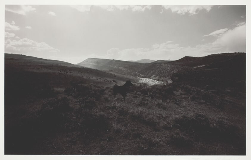 Untitled (Kodak Pointing toward McCoy, Colorado)