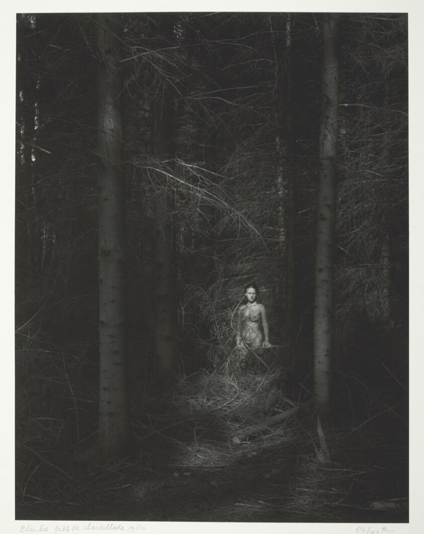Blanka, forêt de Chancellade