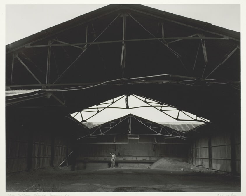 Barn, Belgium, Blanka, Summer
