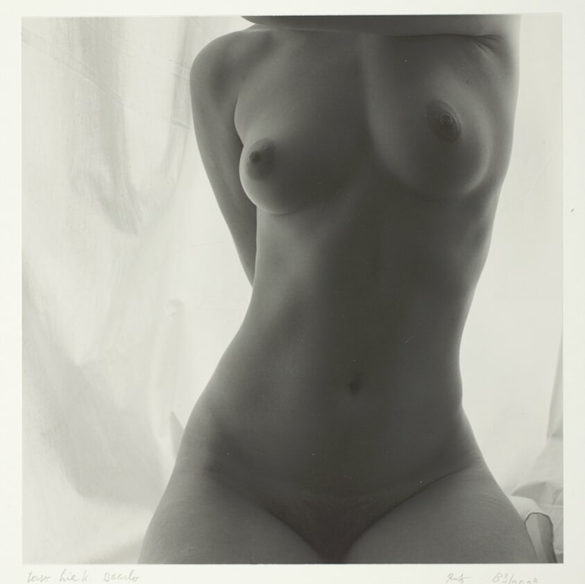 Torso hiak, Baarlo