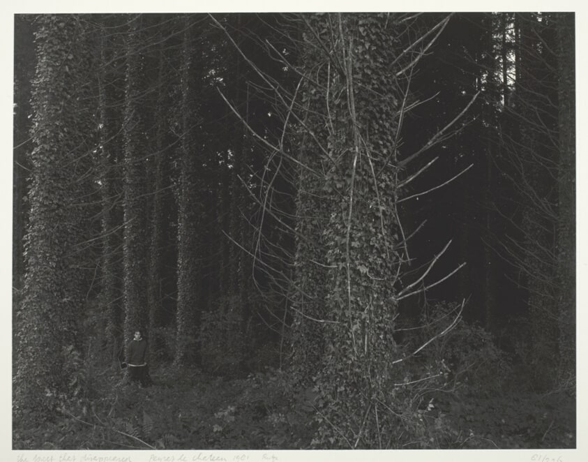 The Forest that Disappeared, Peyras le chateau