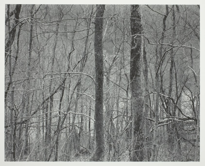Kentucky, Two Trees and River