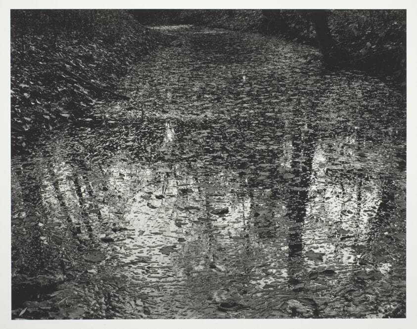 Kentucky, Creek Bed
