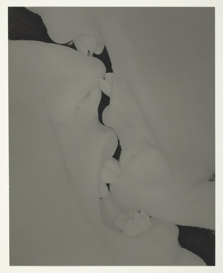 Untitled, The Dworkin Twins