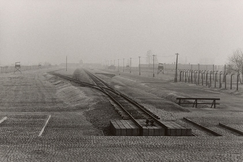 Trauma - Auschwitz