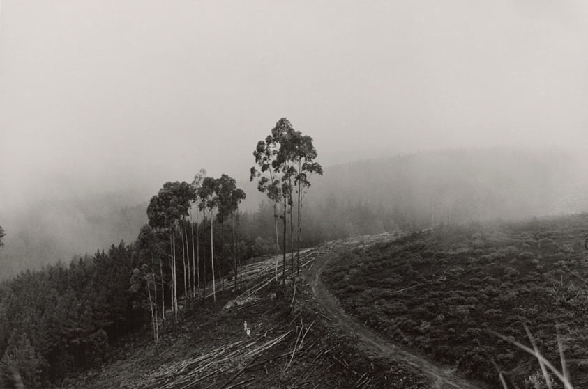 Landscapes - Mpumalanga