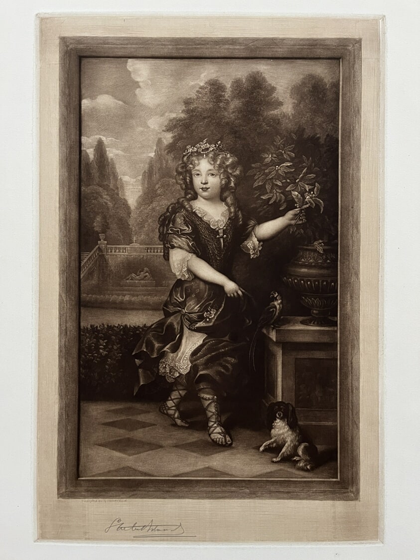 Portrait of a Young Princess