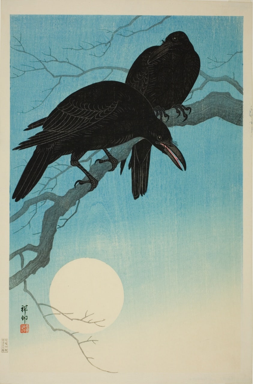 Crows in moonlight