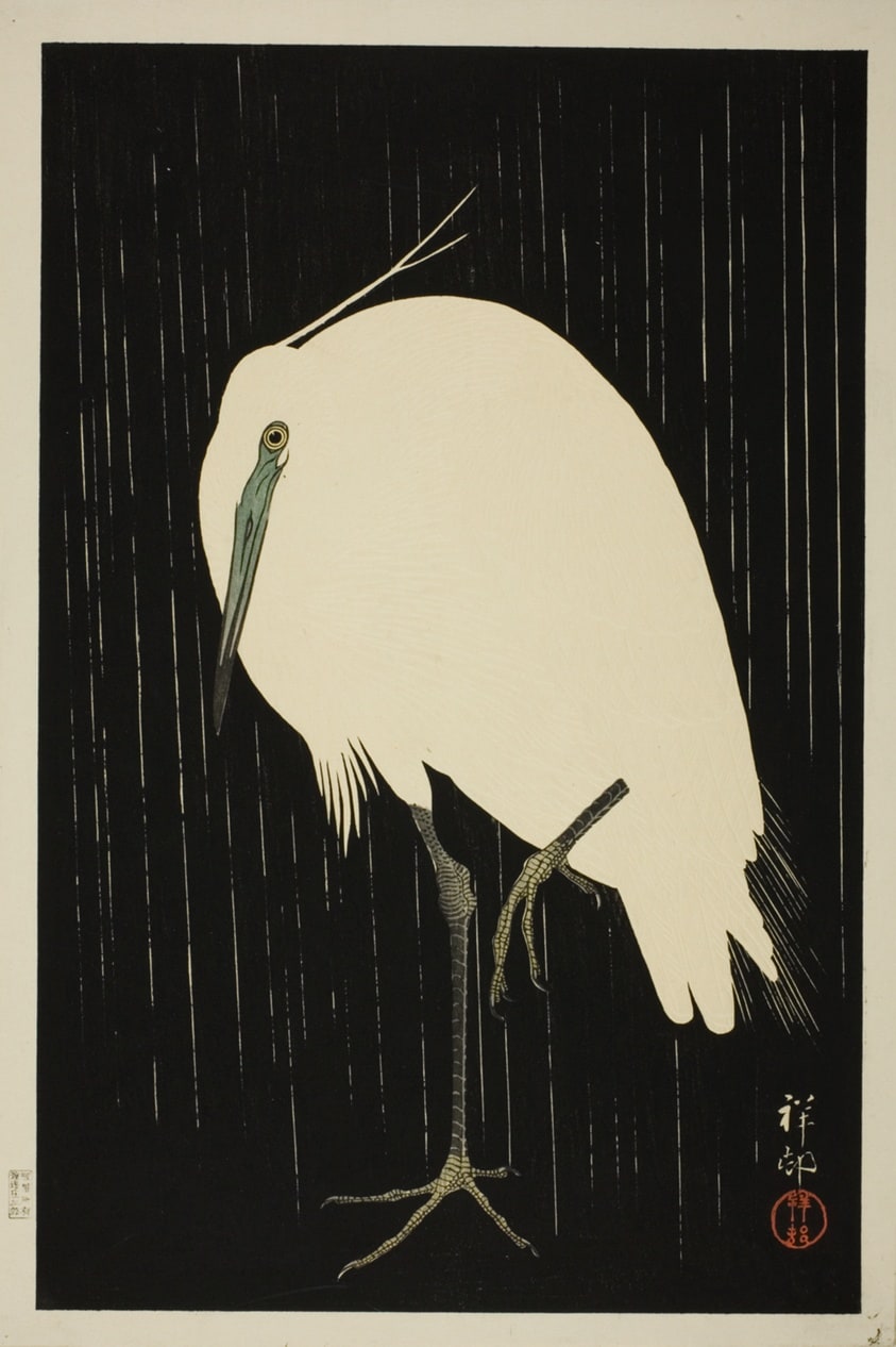 Egret Standing in Rain