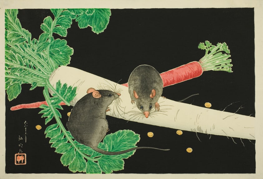Mice, Radish, and Carrot
