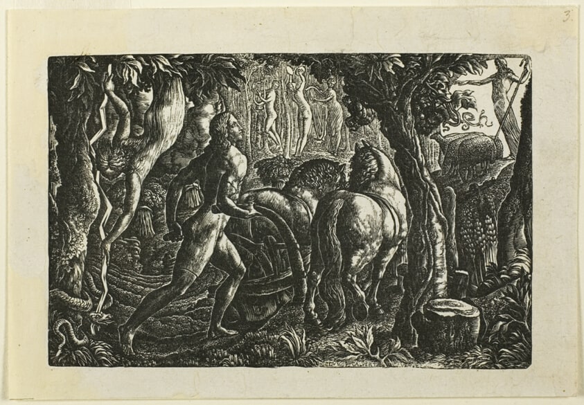 The Ploughman
