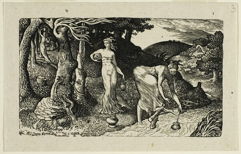 The Brook