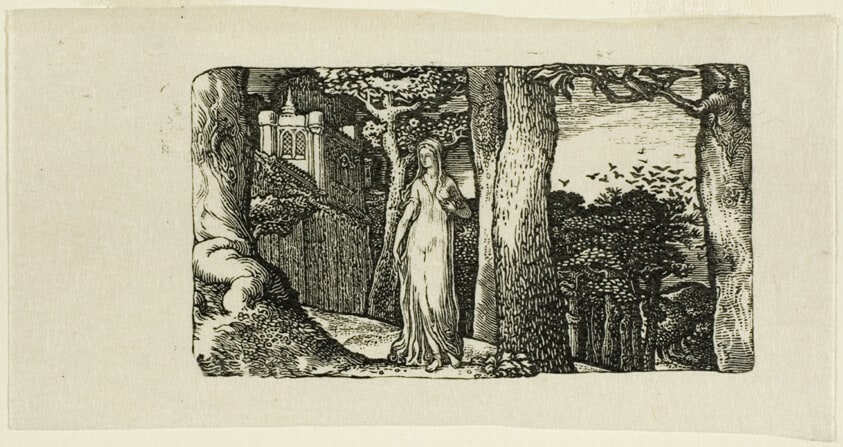 The Lady and the Rooks