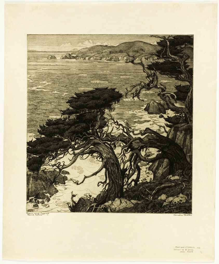 Foam and Cypress, Point Lobos