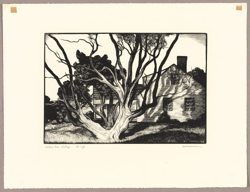 Willow Tree Cottage