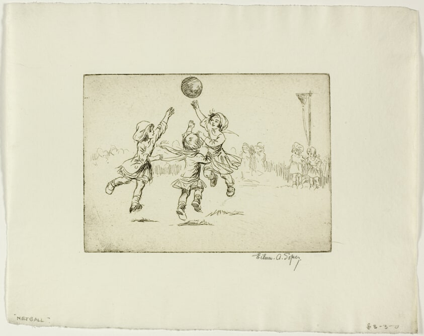 Net Ball