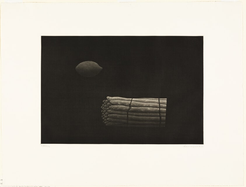 Still Life