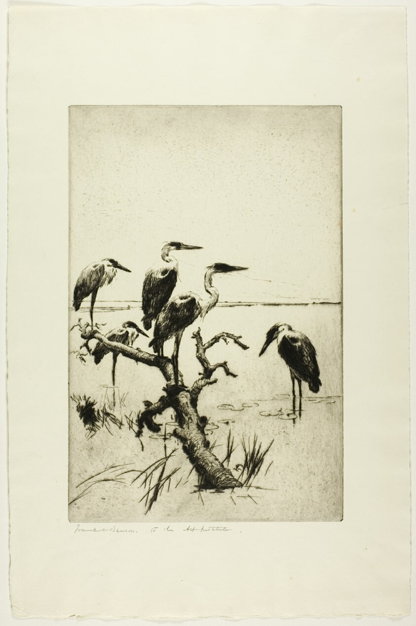 Herons at Rest