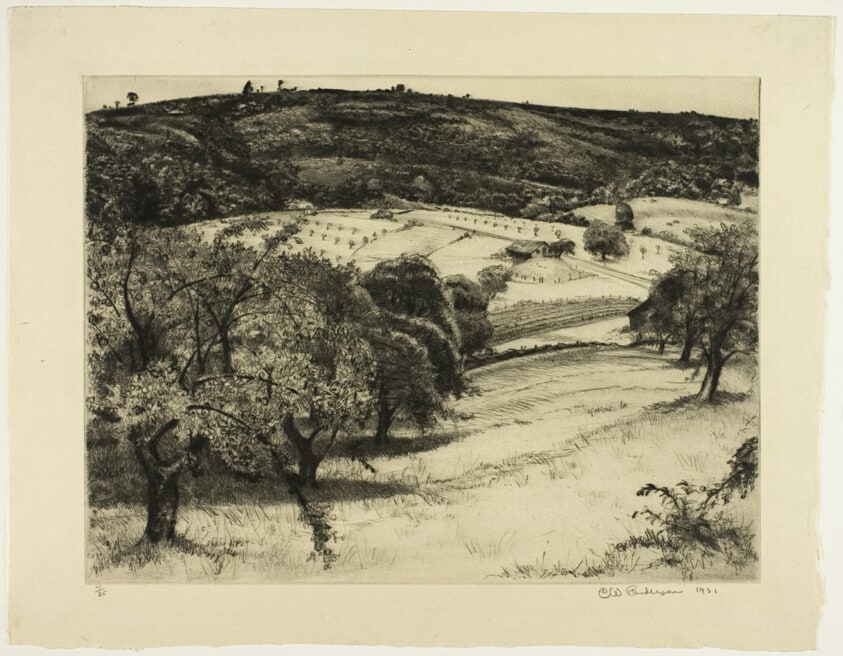 Whittaker's Hill