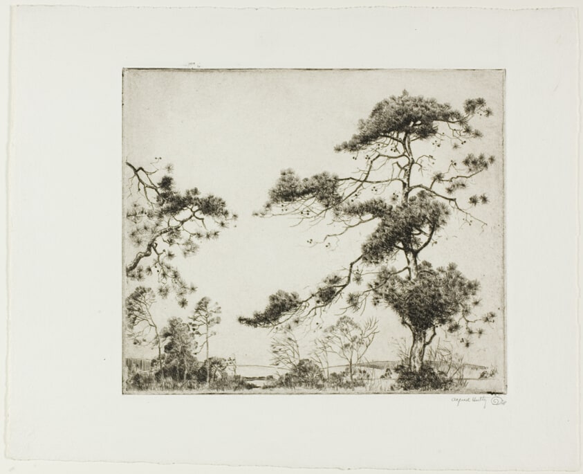 Pines
