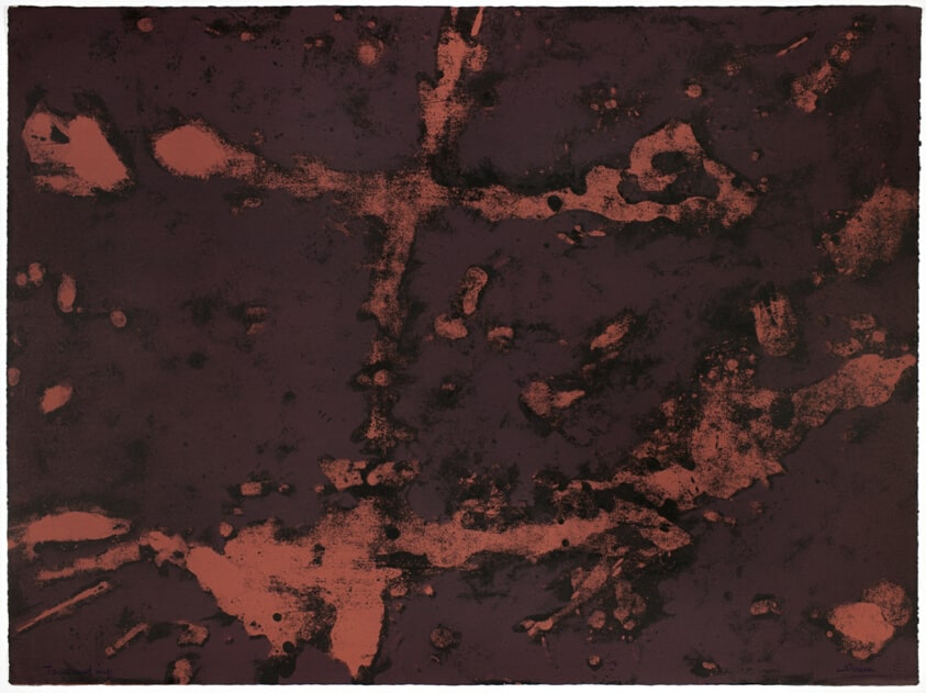 Fossil I