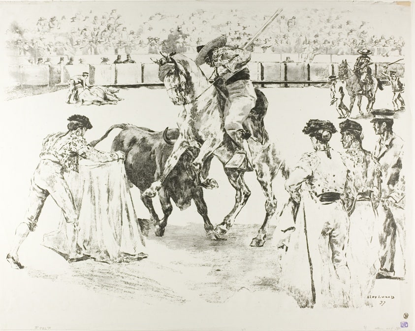 Bull-Fight