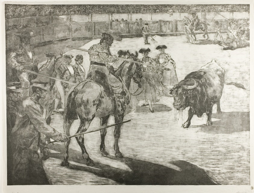 Bull-Fight