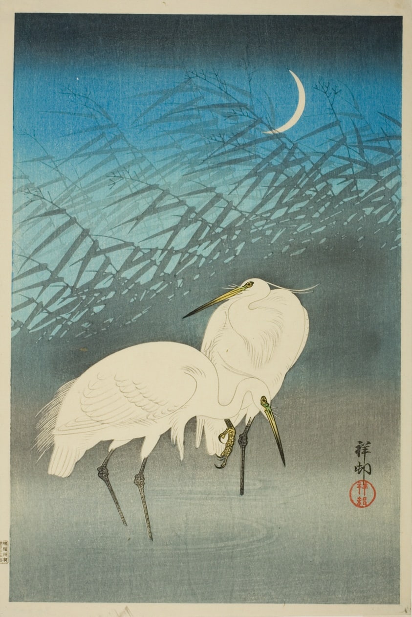 Egrets and Crescent Moon