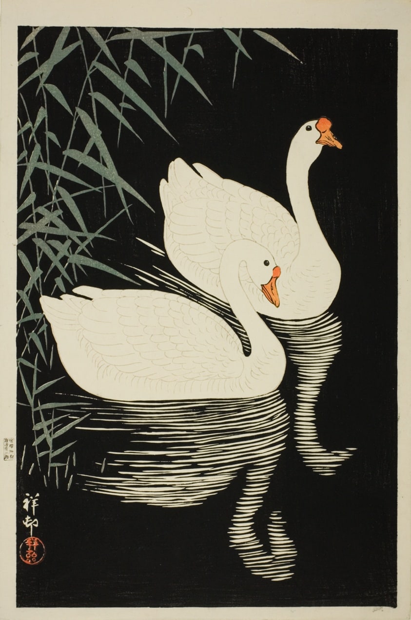 White Geese and Reeds