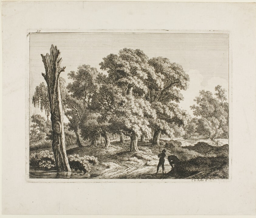Landscape