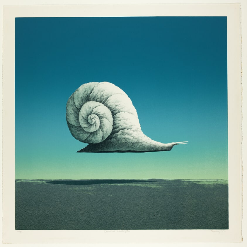 Cumulus Gastropoda