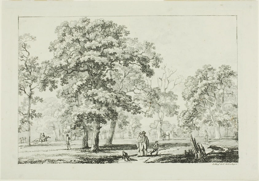People Walking in a Wood
