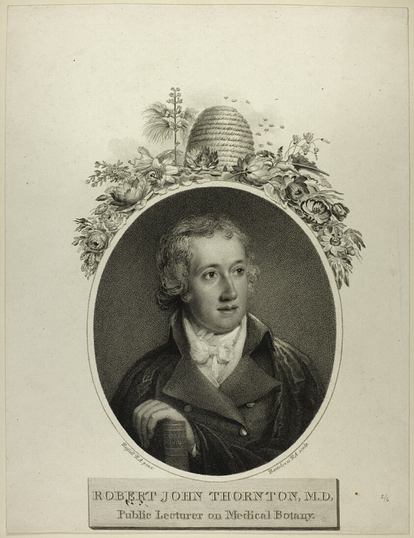 R. J. Thornton