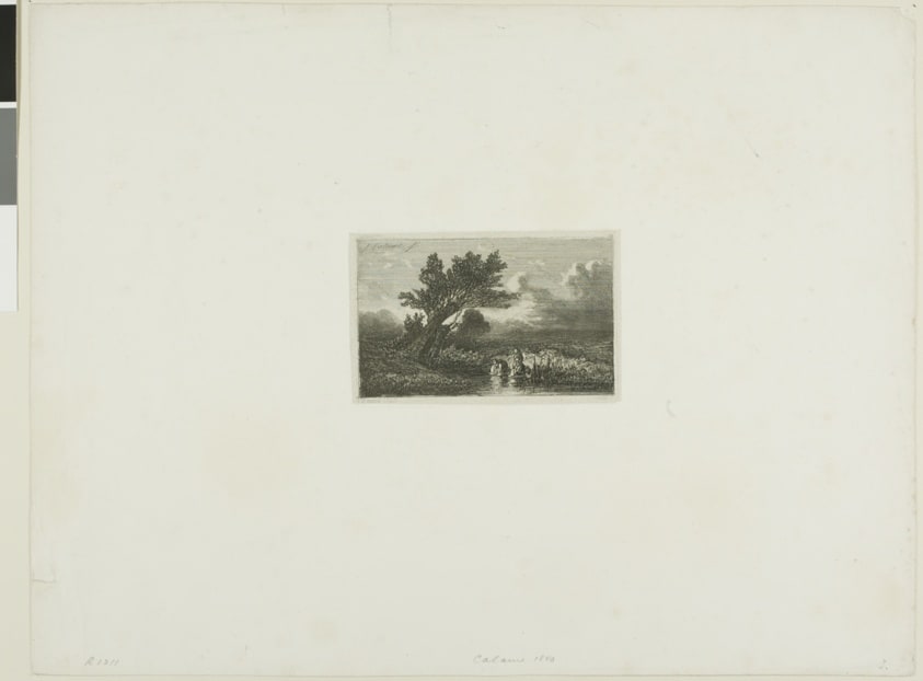 Alpine Landscape
