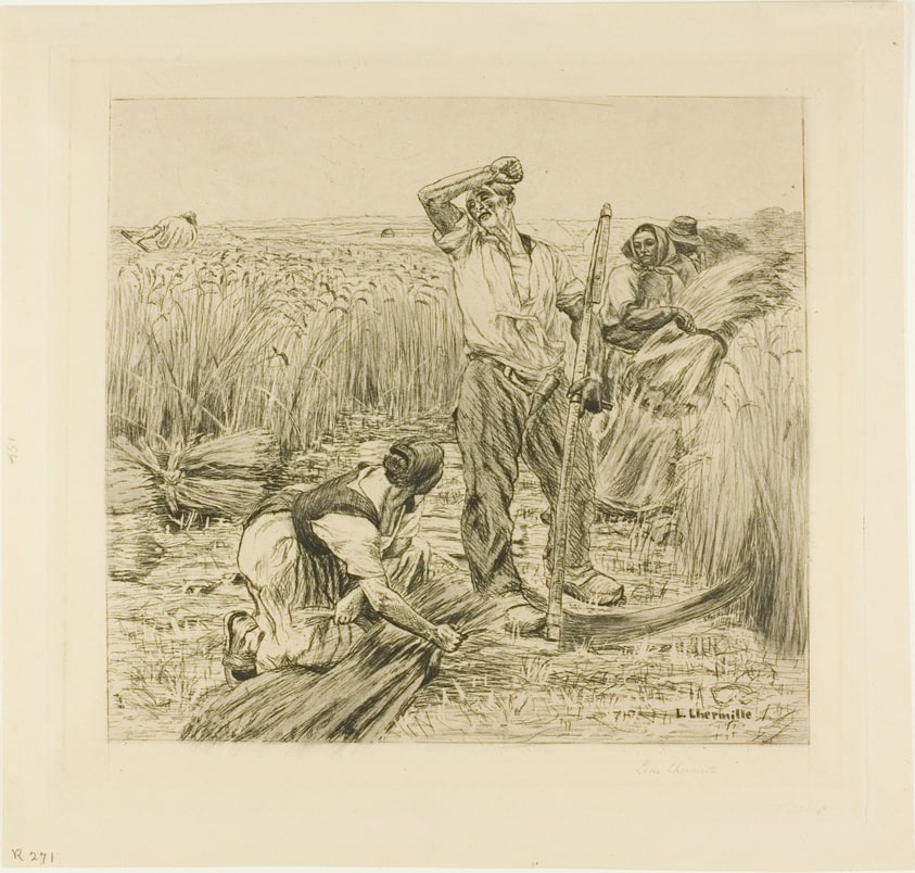 Harvest