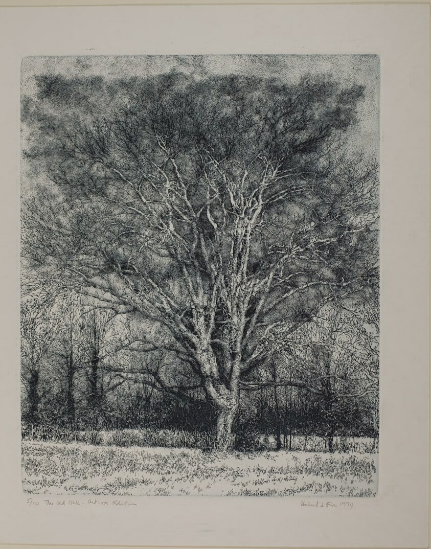 The Old Oak