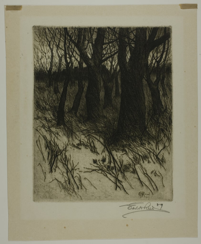 Untitled (Wooded Landscape)