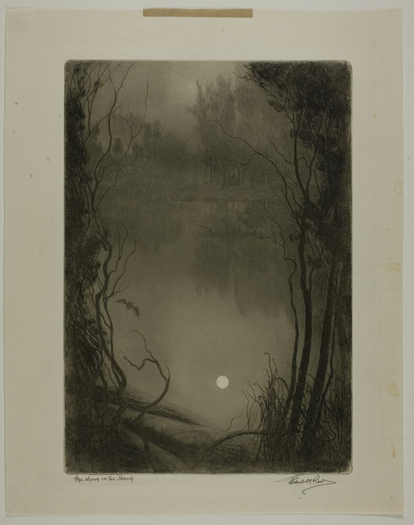 The Moon in the Marsh