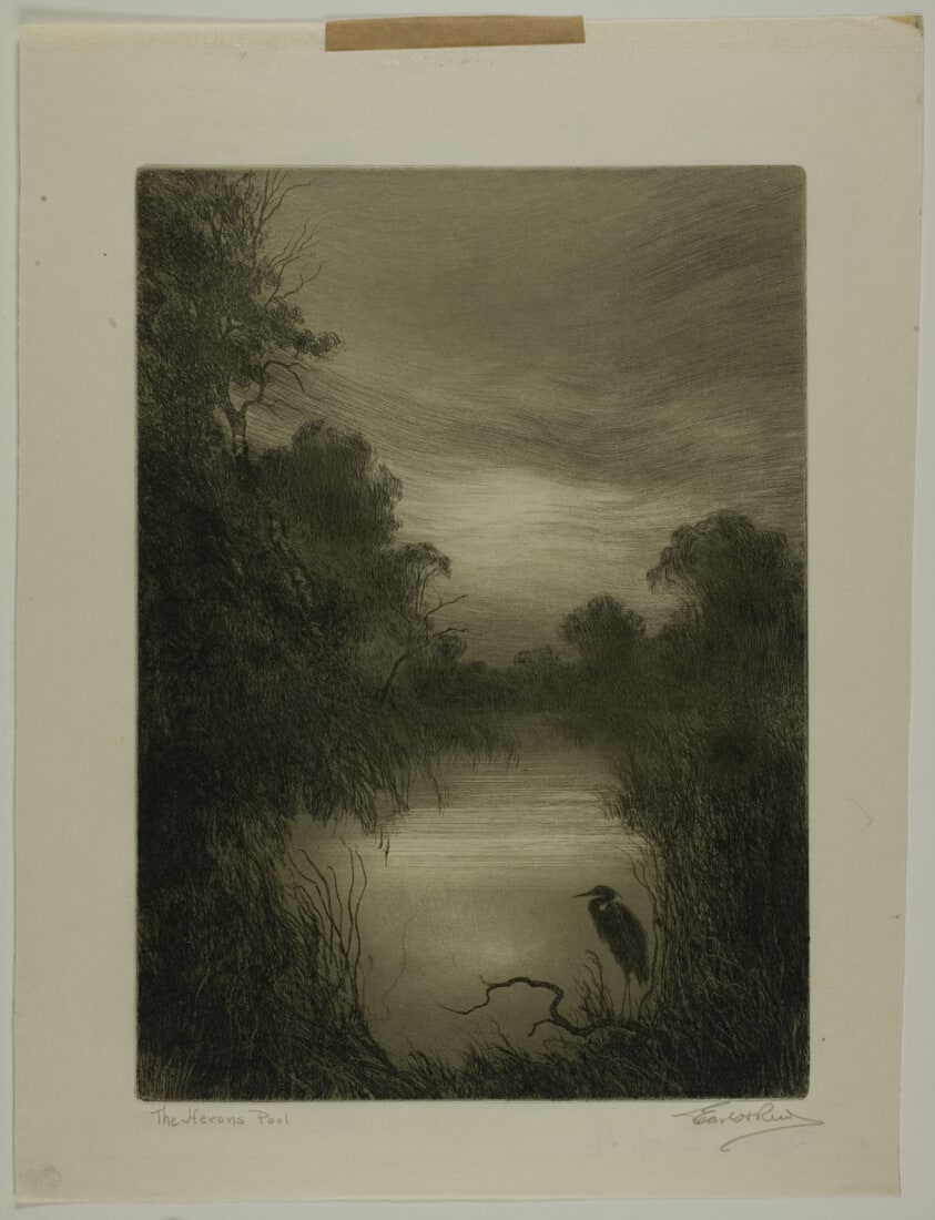 The Heron's Pool