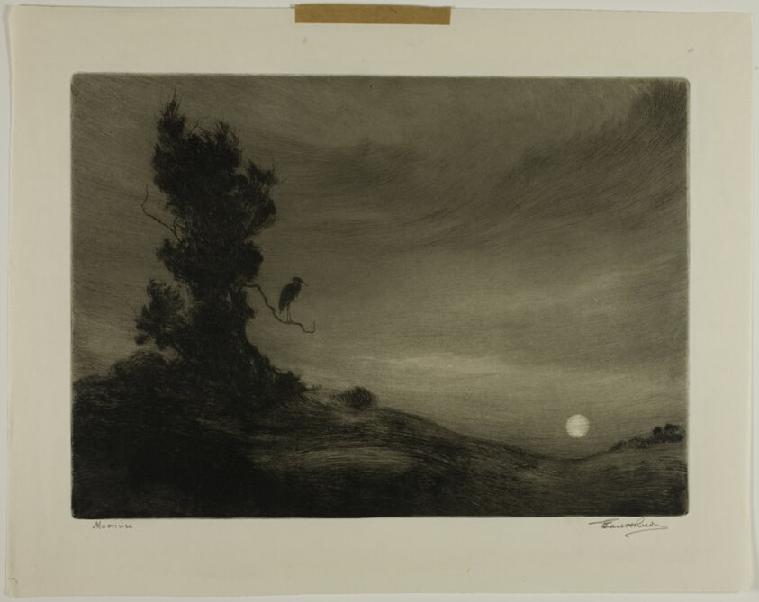 Moonrise