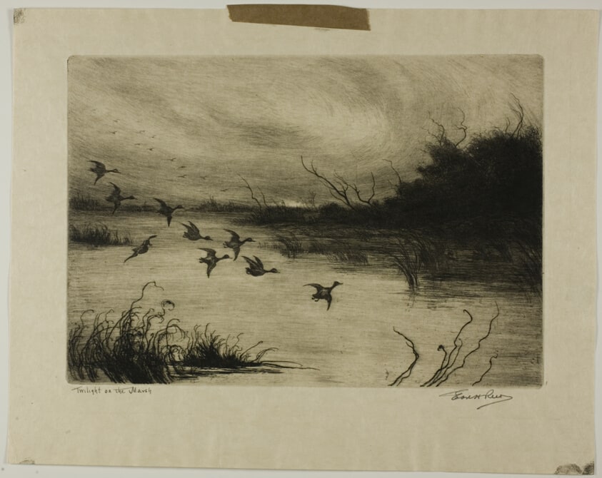 Twilight on the Marsh