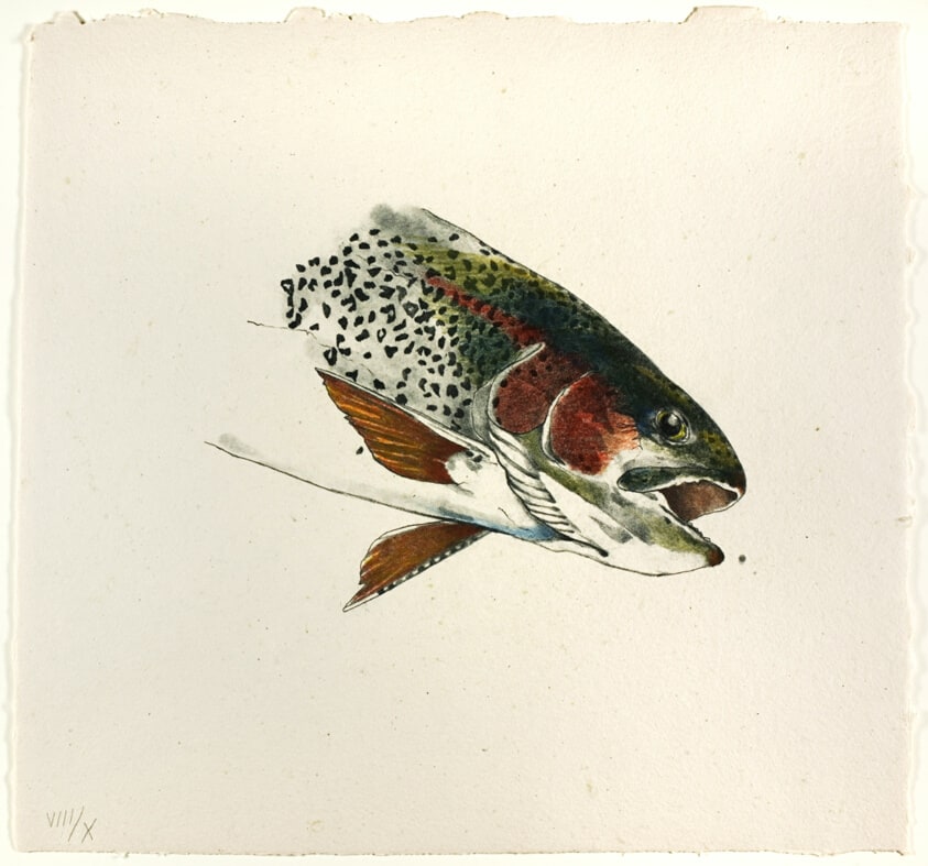 Plate, from Rainbow Suite