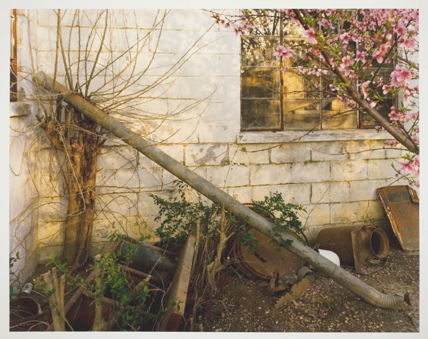 Behind Whispering Pines, Lowndes County, Mississippi
