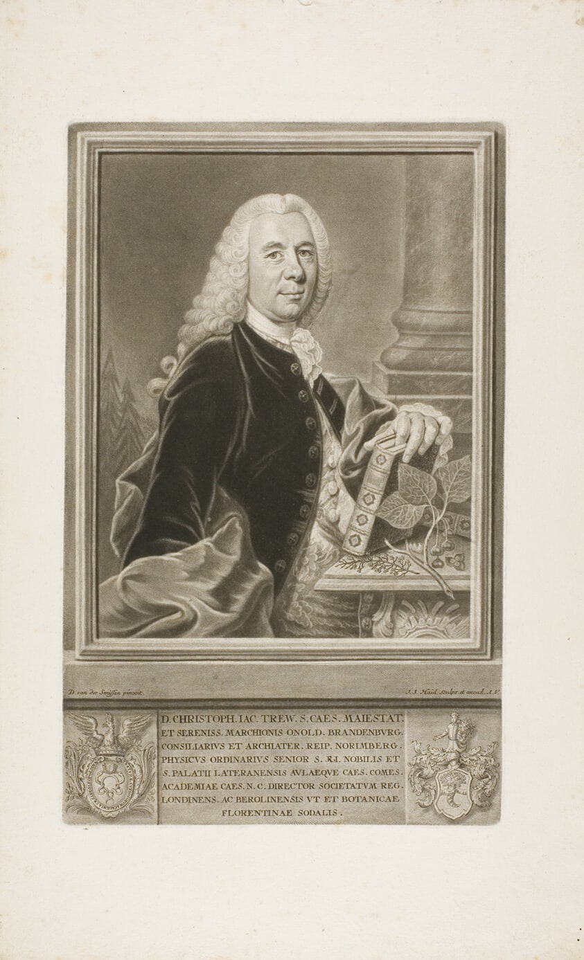 D. Christopher Jacob Trew, from Plantae Selectae